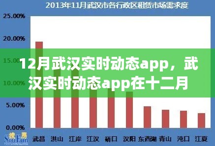 十二月武汉实时动态app表现深度解析,优劣分析与影响探讨