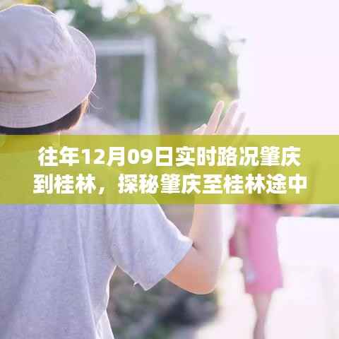 肇庆至桂林路途美食奇遇,探寻小巷深处的特色小店与实时路况探秘