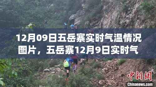 蜎飞蠢动 第2页