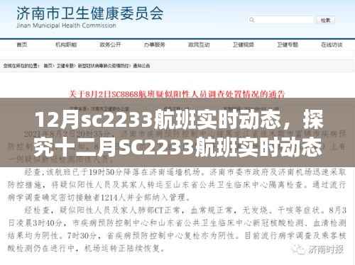 探究十二月SC2233航班实时动态,双刃剑效应下的动态追踪技术