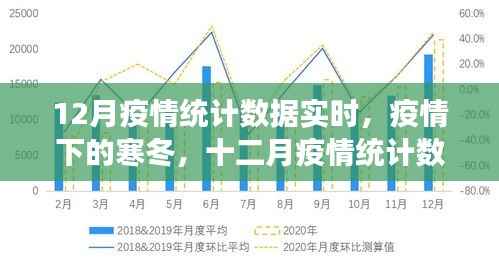 深度剖析,疫情寒冬下的十二月疫情统计数据实时统计与分析