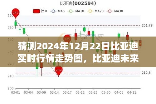 独家解析,比亚迪未来行情展望,预测2024年12月22日走势图及市场趋势分析