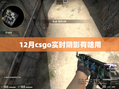 揭秘CSGO实时阴影功能,作用与影响分析
