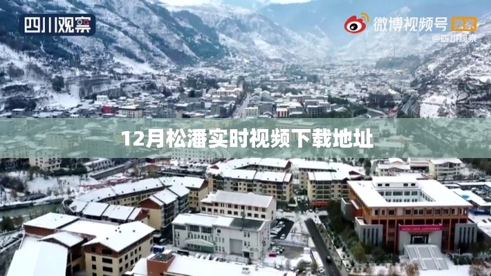 松潘实时视频下载链接分享