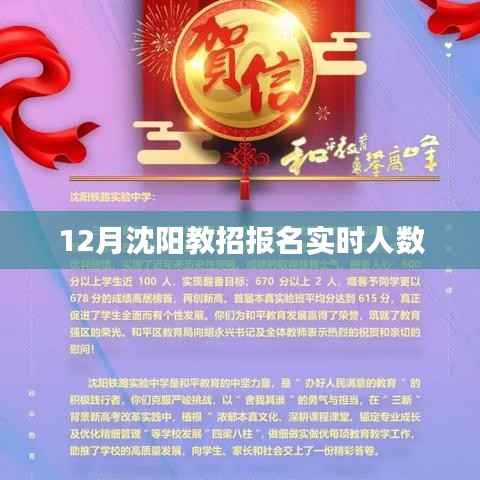 沈阳教招报名实时人数统计(最新数据)