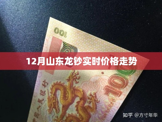 山东龙钞最新实时价格走势分析