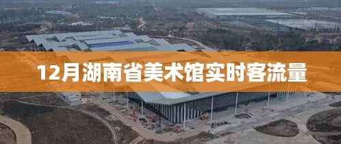 湖南省美术馆十二月客流量统计