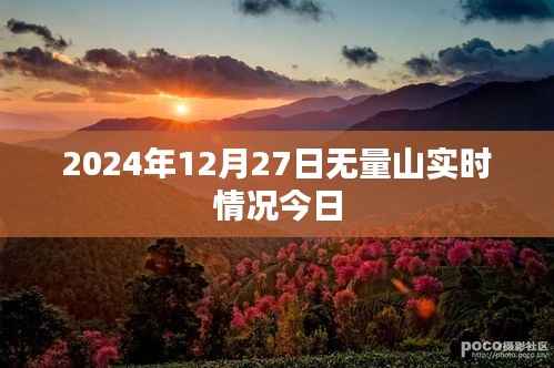 关于无量山的最新实时资讯，2024年12月27日动态更新