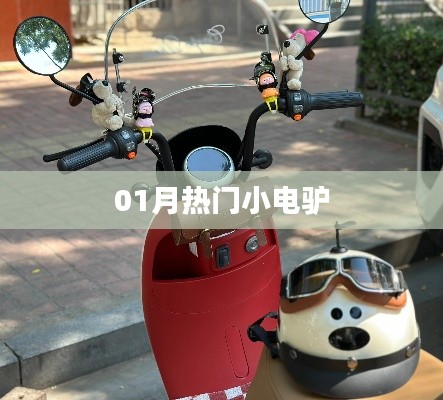 热门小电驴,一月新宠上榜