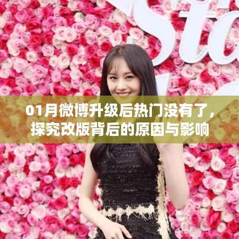 屦贱踊贵 第3页