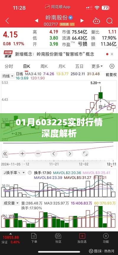 实时行情深度解析,01月股市走势揭秘
