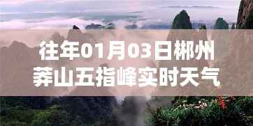 郴州莽山五指峰实时天气(往年1月3日)