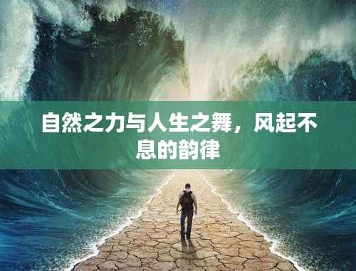 自然之力与人生之舞,风起不息的韵律