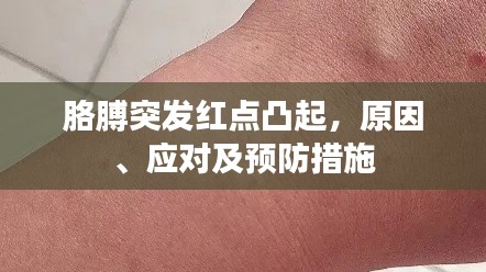 胳膊突发红点凸起,原因、应对及预防措施