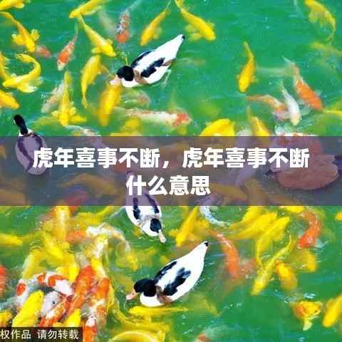 虎年喜事不断,虎年喜事不断什么意思