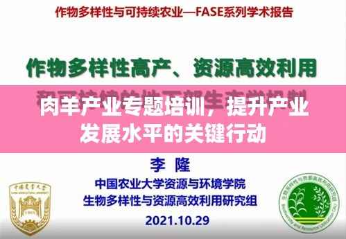 肉羊产业专题培训，提升产业发展水平的关键行动