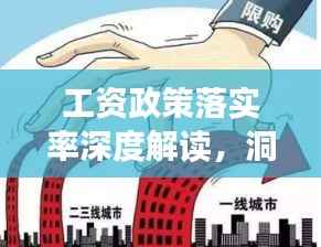 工资政策落实率深度解读,洞悉政策执行与效果分析