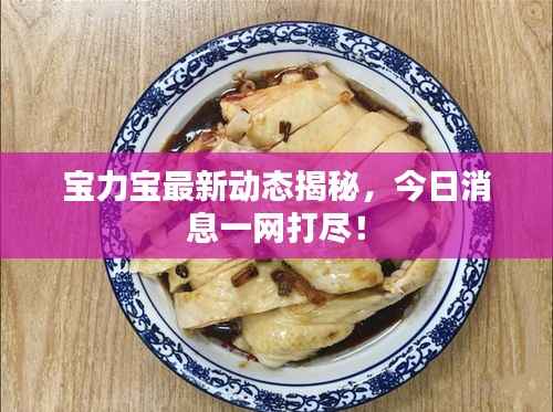宝力宝最新动态揭秘,今日消息一网打尽!