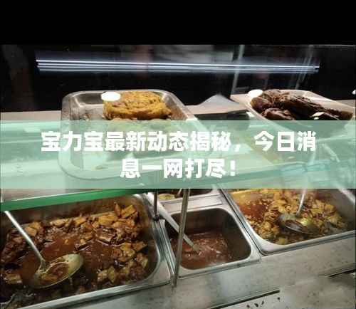 宝力宝最新动态揭秘,今日消息一网打尽!