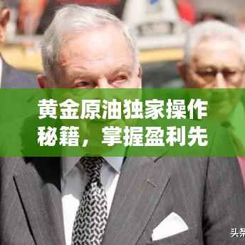 黄金原油独家操作秘籍,掌握盈利先机