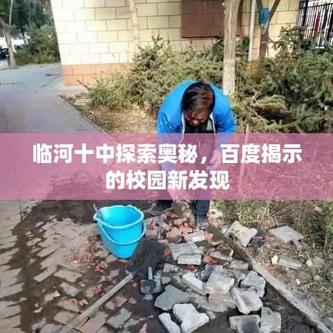 临河十中探索奥秘,百度揭示的校园新发现