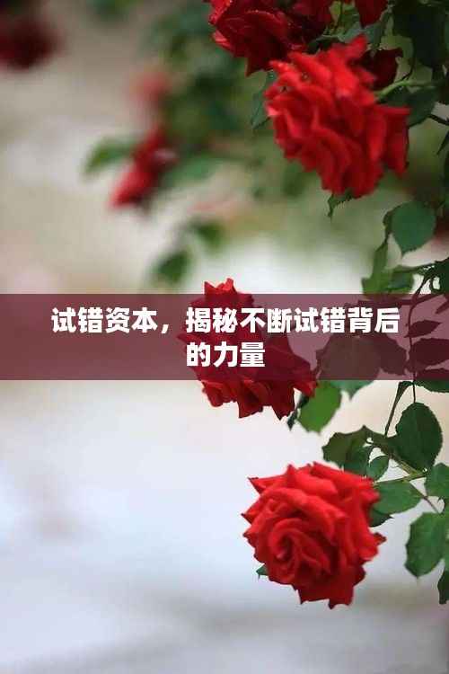 试错资本,揭秘不断试错背后的力量
