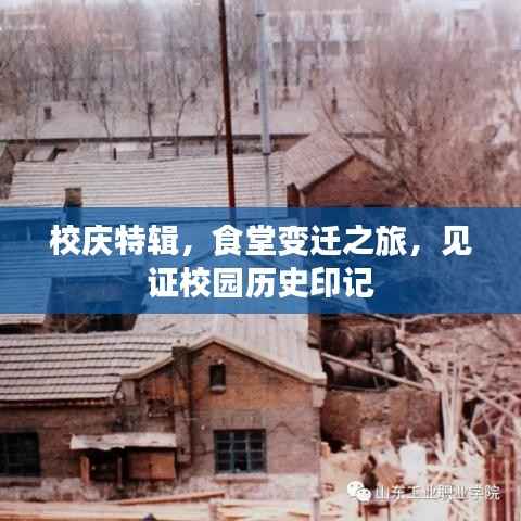 校庆特辑,食堂变迁之旅,见证校园历史印记