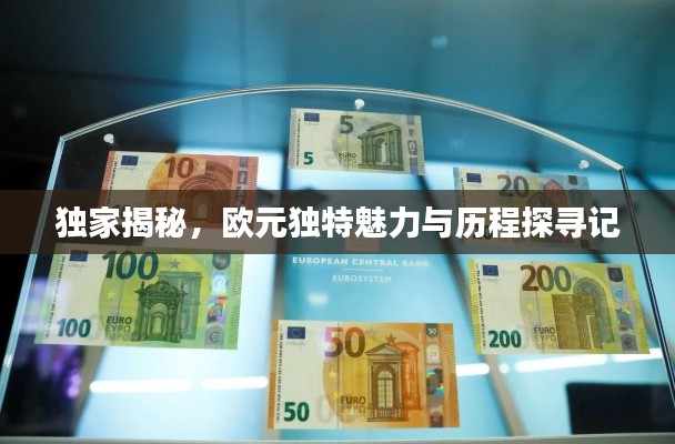 独家揭秘,欧元独特魅力与历程探寻记