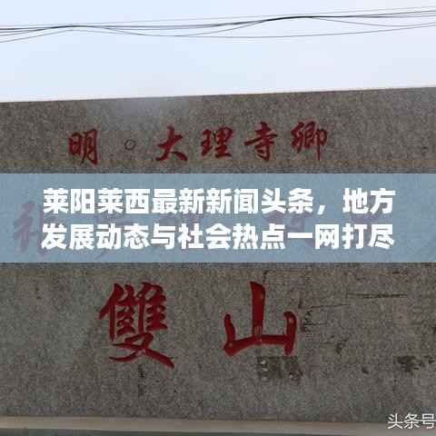 莱阳莱西最新新闻头条,地方发展动态与社会热点一网打尽