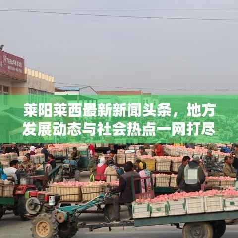 莱阳莱西最新新闻头条,地方发展动态与社会热点一网打尽