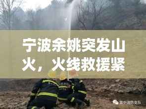 宁波余姚突发山火,火线救援紧急行动与事件反思
