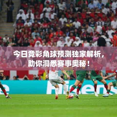观往知来 第2页
