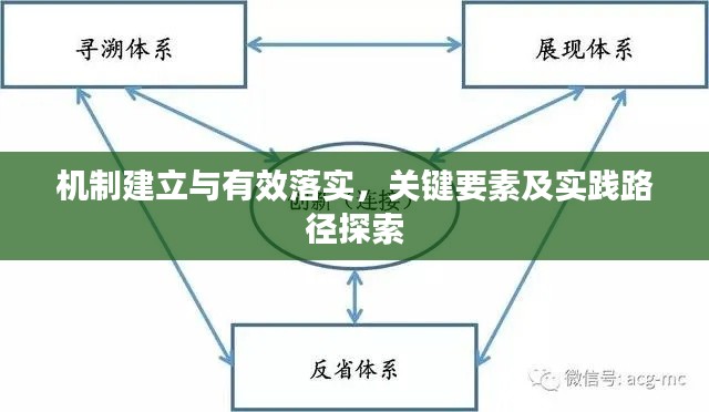 机制建立与有效落实,关键要素及实践路径探索