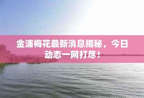 金浦梅花最新消息揭秘,今日动态一网打尽!