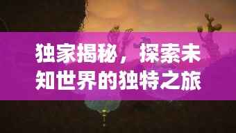 绝代佳人 第2页