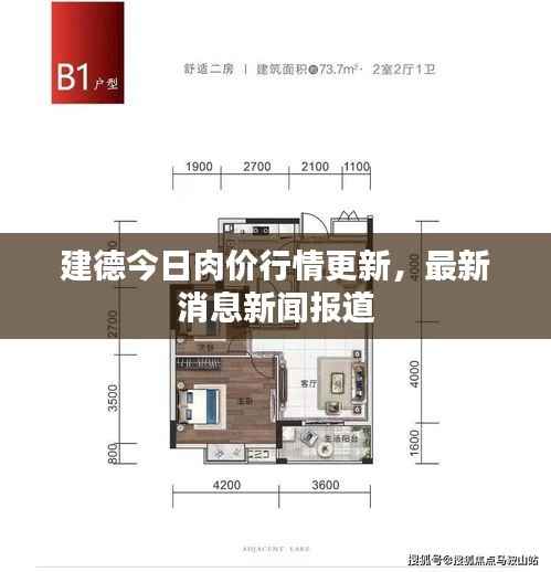 建德今日肉价行情更新,最新消息新闻报道