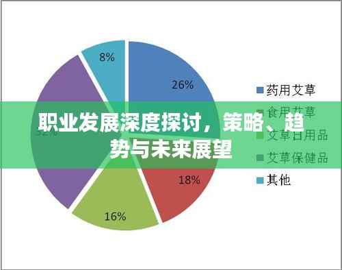 职业发展深度探讨,策略、趋势与未来展望