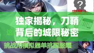 独家揭秘,刀鞘背后的城限秘密与独特价值探讨