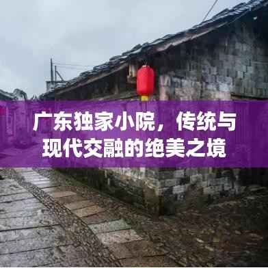 广东独家小院,传统与现代交融的绝美之境