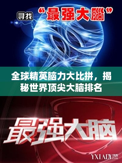 全球精英脑力大比拼,揭秘世界顶尖大脑排名
