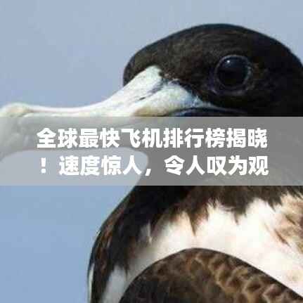 全球最快飞机排行榜揭晓!速度惊人,令人叹为观止!