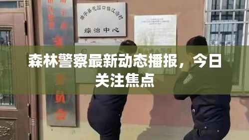 森林警察最新动态播报,今日关注焦点