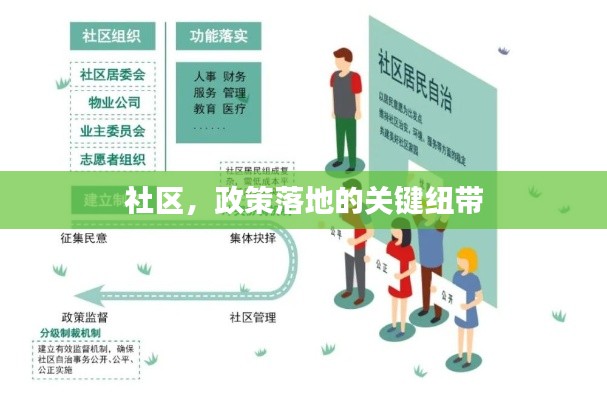 社区,政策落地的关键纽带