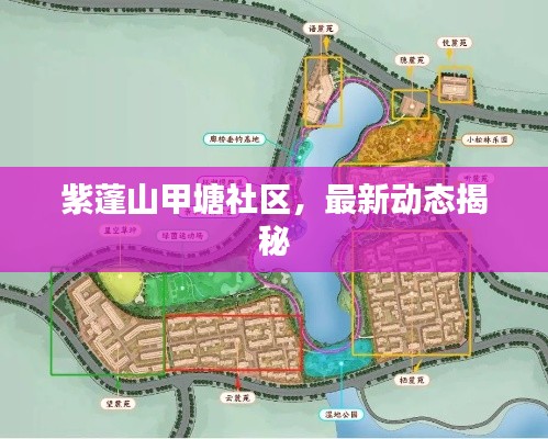 紫蓬山甲塘社区,最新动态揭秘